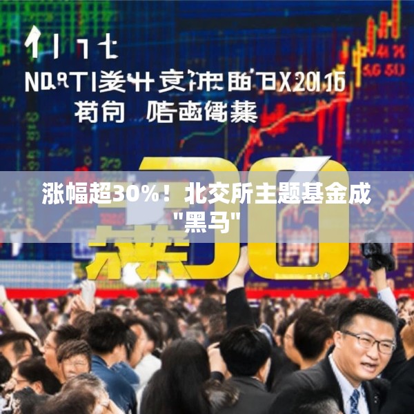 涨幅超30%！北交所主题基金成