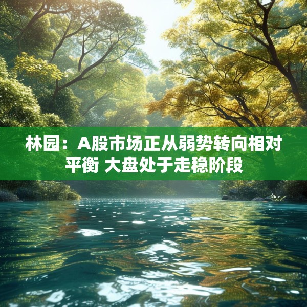 2025年3月13日 第6页