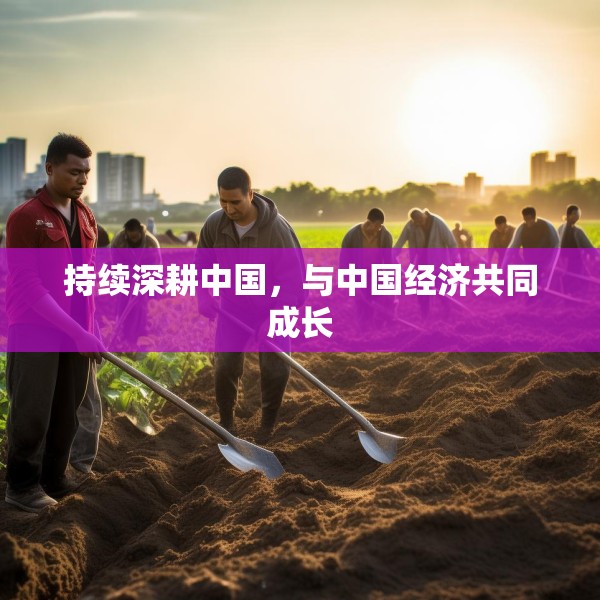 持续深耕中国，与中国经济共同成长