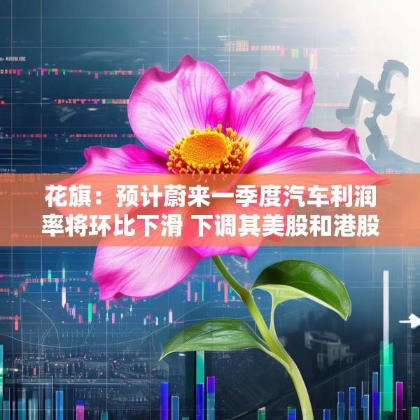 花旗：预计蔚来一季度汽车利润率将环比下滑 下调其美股和港股目标价