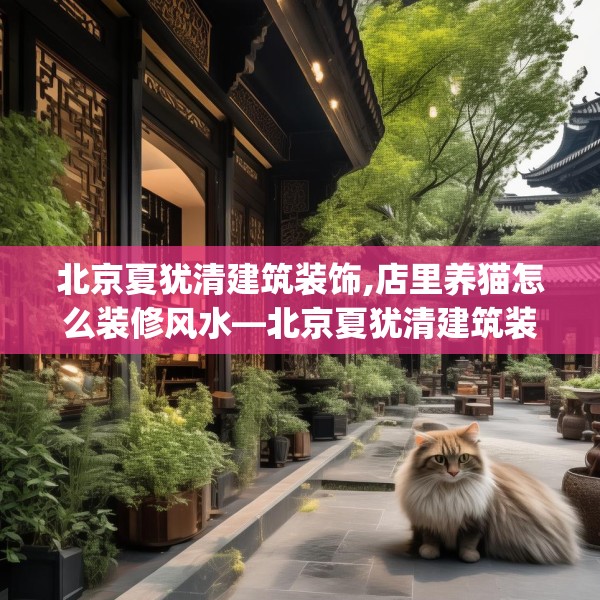 北京夏犹清建筑装饰,店里养猫怎么装修风水—北京夏犹清建筑装饰315.a191b192c195fgy.202fghfd