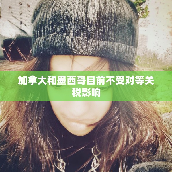 加拿大和墨西哥目前不受对等关税影响