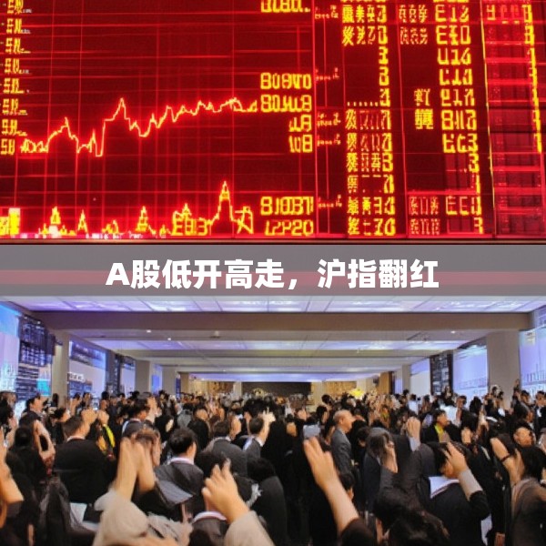 2025年4月3日 第17页