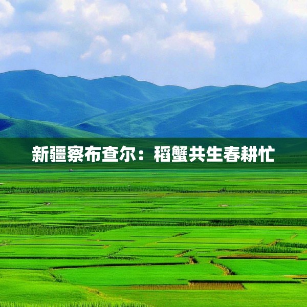 新疆察布查尔：稻蟹共生春耕忙