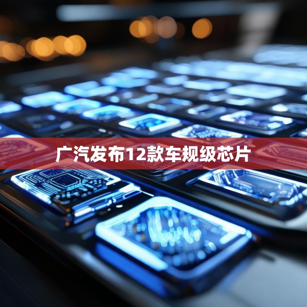 广汽发布12款车规级芯片
