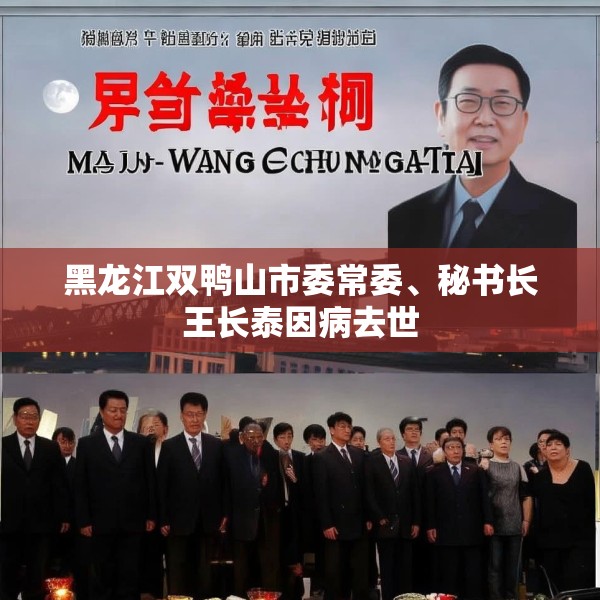 黑龙江双鸭山市委常委、秘书长王长泰因病去世