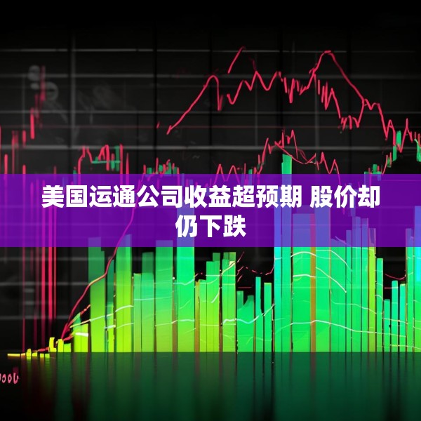 美国运通公司收益超预期 股价却仍下跌