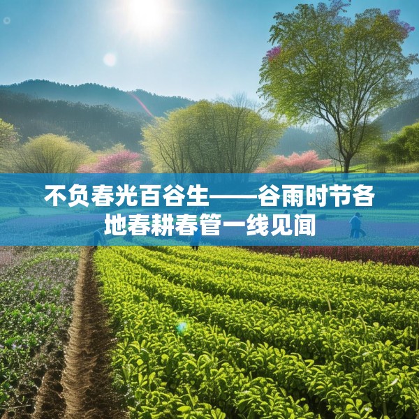 不负春光百谷生——谷雨时节各地春耕春管一线见闻