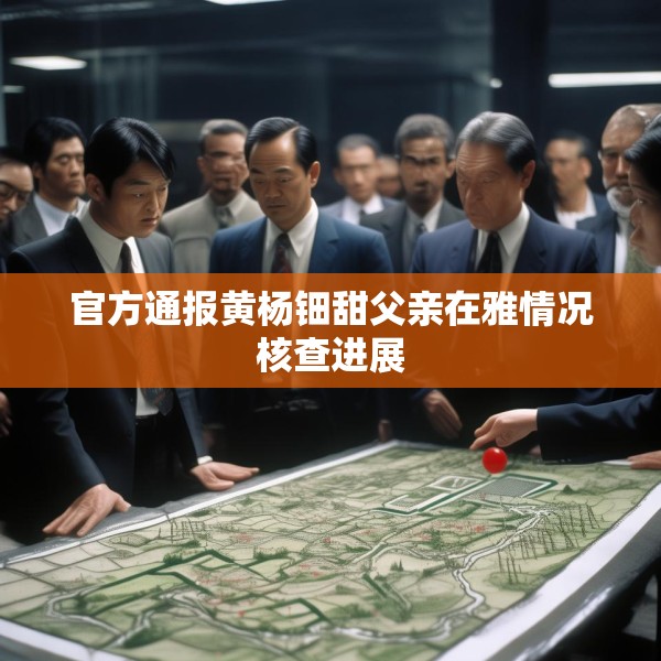 官方通报黄杨钿甜父亲在雅情况核查进展
