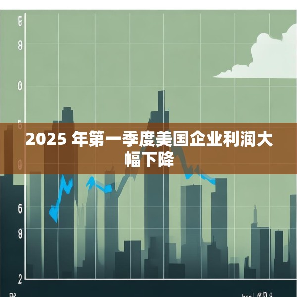 2025 年第一季度美国企业利润大幅下降