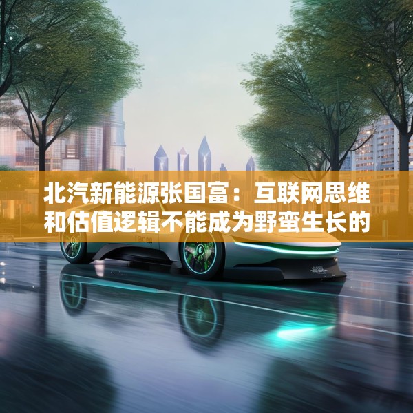 北汽新能源张国富：互联网思维和估值逻辑不能成为野蛮生长的理由