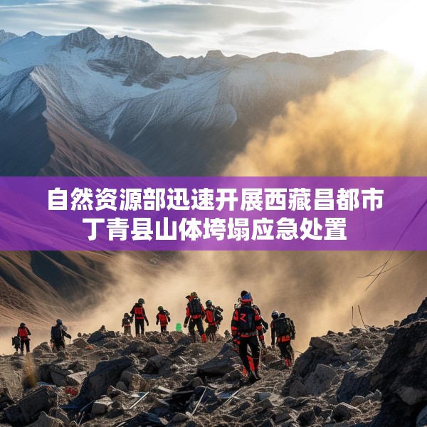 自然资源部迅速开展西藏昌都市丁青县山体垮塌应急处置