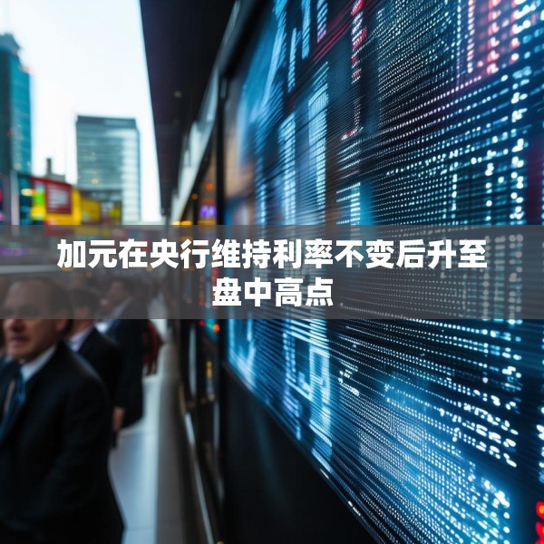 加元在央行维持利率不变后升至盘中高点