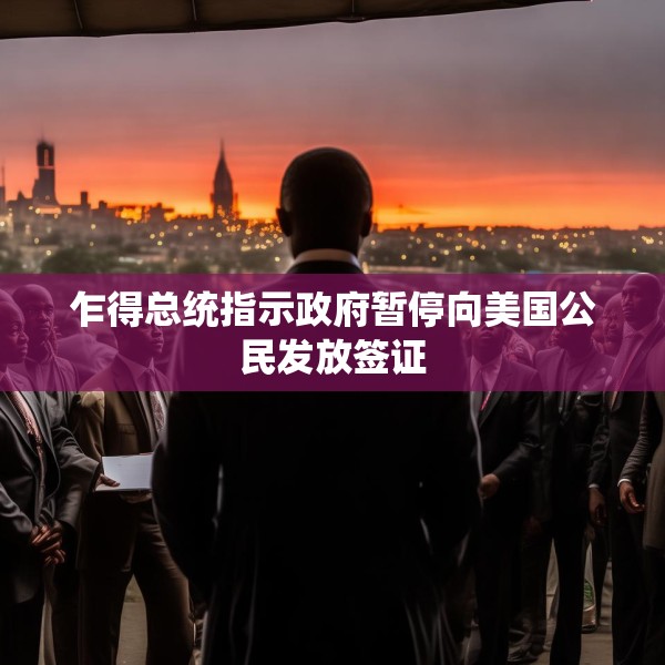 乍得总统指示政府暂停向美国公民发放签证