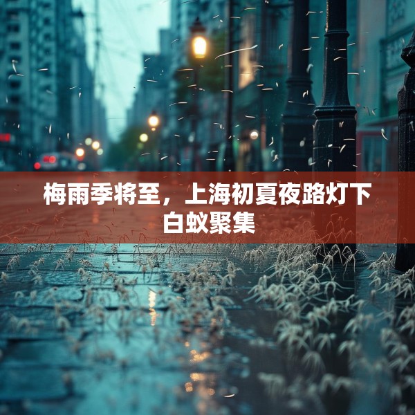梅雨季将至，上海初夏夜路灯下白蚁聚集