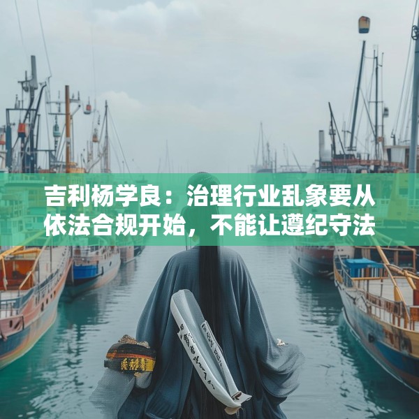 吉利杨学良：治理行业乱象要从依法合规开始，不能让遵纪守法者吃亏