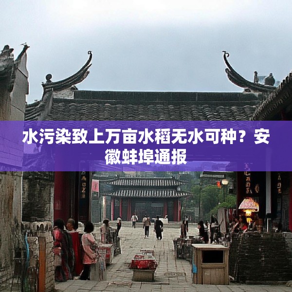 水污染致上万亩水稻无水可种？安徽蚌埠通报