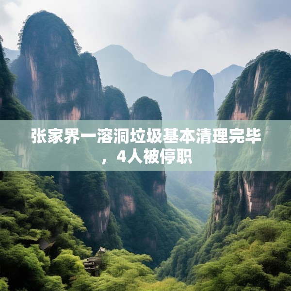 张家界一溶洞垃圾基本清理完毕，4人被停职