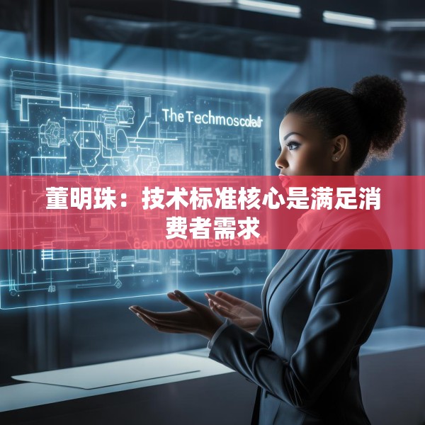 董明珠：技术标准核心是满足消费者需求