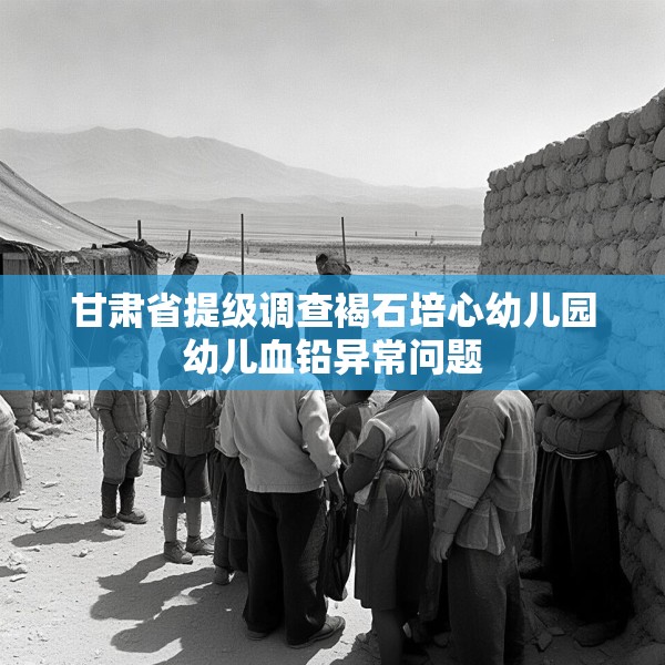 甘肃省提级调查褐石培心幼儿园幼儿血铅异常问题