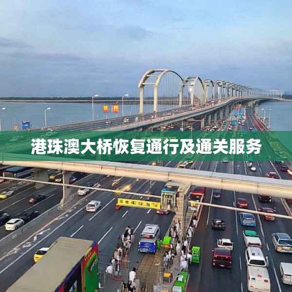 港珠澳大桥恢复通行及通关服务